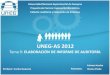 UNEG-AS 2012-Pres9: Elaboración del informe de auditoría