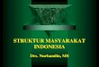 Struktur masyarakat indonesia