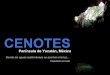 Presentación cenotes