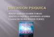 Dimension psiquica  exposicion