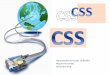 Módulo: 4 – Desenvolvimento de Páginas Web Estáticas: CSS