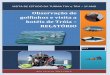 Relatório da visita de estudo_Observação Golfinhos no Sado