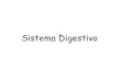 Sistema digestivo i