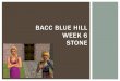 Bacc blue hill week 6 stone