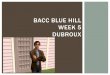 Bacc Blue Hill week 5 Dubroux