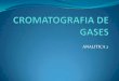 Exposision cromatografia de gases