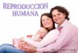 Creacionismo - Reproduccion humana, por Dr Ernesto Contreras