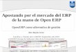 Cursillos e-ghost Septiembre 2010. Open ERP como software de gestión contable