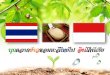 Duangporn thai-riceproject-indonesia-host-market