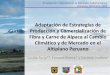 Adaptación de estrategias de producción y comercialización de fibra y carne de alpaca al cambio climático y de mercado en el altiplano peruano