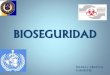 Bioseguridad 2012 pdf
