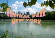 Centralpark - Newyork
