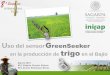Uso del sensor GreenSeeker en la producción de trigo en el Bajio