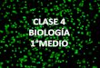 1° Bio   Clase 4 - Célula eucarionte