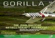 Der neue ZGF GORILLA ist da! - Latest edition of GORILLA magazine available now!