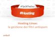 Hosting Linux: la gestione dei filtri antispam #TipOfTheDay