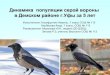 Презентация на тему: Динамика популяции серой вороны в Демском районе г.Уфы за 5 лет