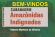 APRESENTAÇÃO DO LIVRO CABANAGEM AMAZÔNIDAS INDIGNADOS