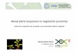 Dr. Marçal Gallemí. Unitat de Genètica Molecular Vegetal / About plant responses to vegetation proximity