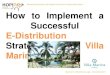 Implement a successfull e distribution strategy by hopineo