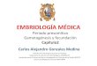 Embriología médica carlos gonzales medina unmsm cp2 pt 1
