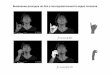 Е.В. Бурнаев "Пример применения методов обнаружения разладок для обработки видео-последовательности"