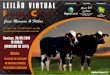 Catálogo do 6º Leilão Virtual da Fazenda Cruzeiro acontece dia 30 de maio