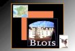 141 Blois & son château (France)