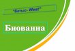 Atameken Startup Uralsk 14-16 nov "Батыс вест"