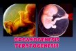 10. Organogenesis Y Teratogenesis en el embarazo
