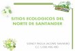 Sitios ecologicos del norte de santander universidad remington 4 semestre de contaduria