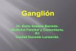 Presentacion sesion ganglion (1)