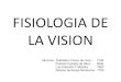Fisologia vision