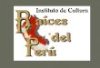 IC.RAICES DEL PERU CHEPEN