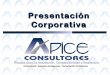 APICE Consultores Presentación