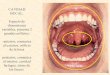 Boca, lengua(Anatomia)