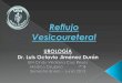 Reflujo vesicoureteral - Urología