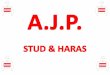 Stud & Haras A.J.P