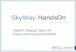 SkyWay HandsOn