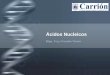 Acidos nucleicos y sintesis de proteinas