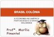 Brasil colônia   2º ano - economia inv.holandesa
