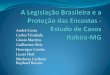 A legislação brasileira e a proteção das encostas