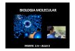 Biologia molecular 1