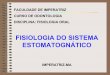 Fisiologia Do SISTEMA Estomatognatico[1]