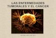 Las enfermedades tumorales y el cáncer