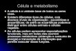 Célula e metabolismo