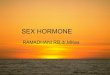 Sex  hormone