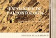 Exposición de Paleonlotogía Noguera de Albarracín