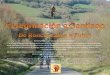 1 etapa: Camino de Santiago(Roncesvalles A Zubiri)