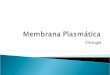 Citologia - Membrana plasmática